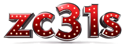 zc31s logo